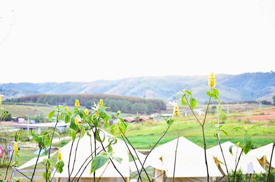Kondee Cino Cafe & Glamping Hotell Khao Kho Exteriör bild